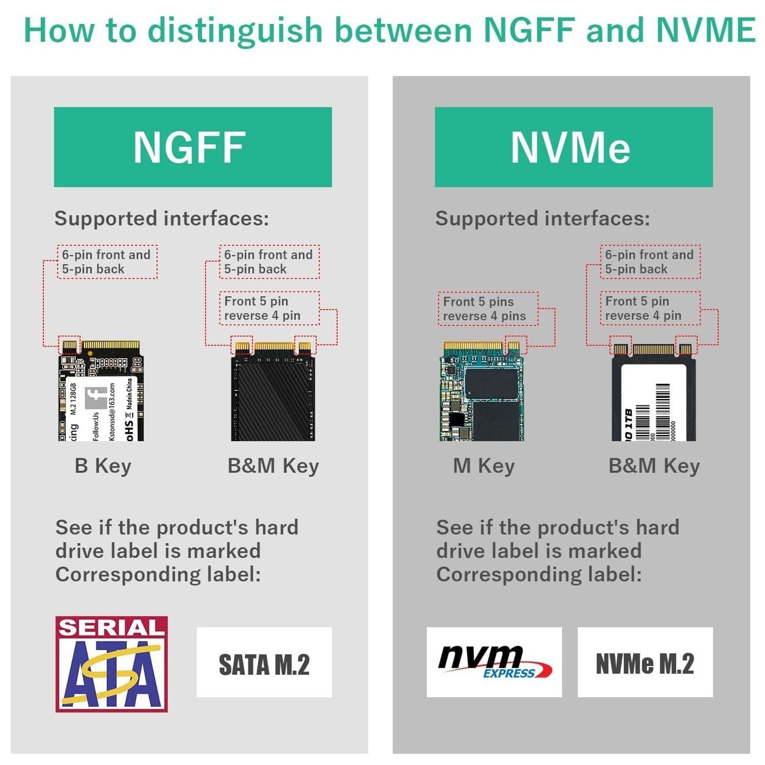 M2 (NGFF) SSD to SATA Adapter Card - Image 5
